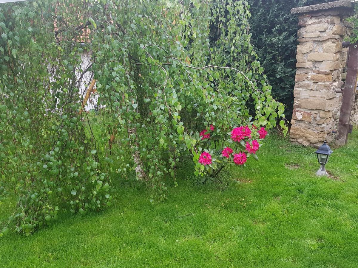 Appartamento Zlty Dom Vrbov Esterno foto